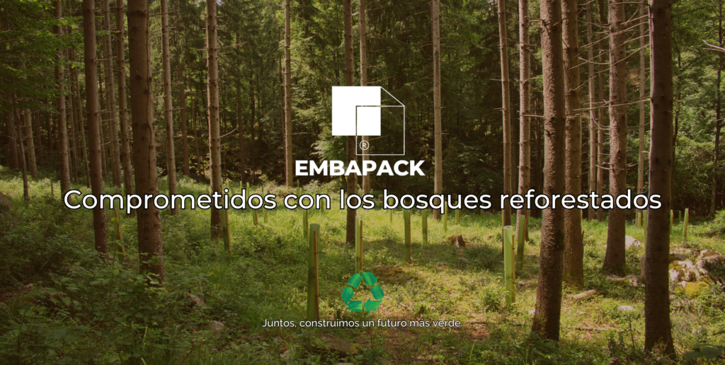 Sostenibilidad Ambiental: El Compromiso con los Bosques Reforestados ...