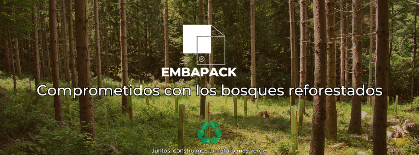 Comprometidos con los bosques reforestados