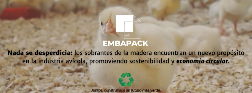 Sostenibilidad y economia circular